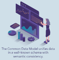 Common Data Model Simple Description
