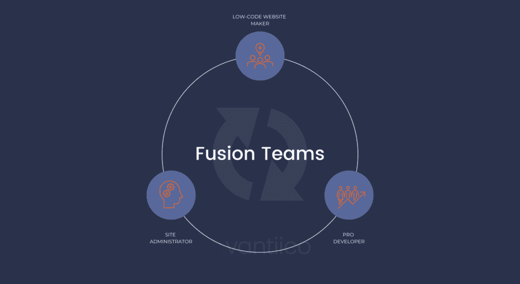 Microsoft Power Pages Fusion Teams